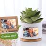 Outdoor & Gardening
