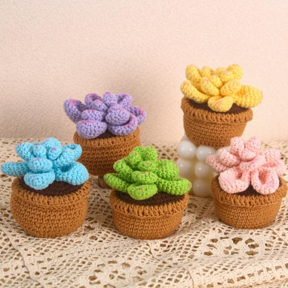 Succulent Crochet Potted Plants Completed Hand Woven Knitted Potted Plants Gift for Handicraft Lover